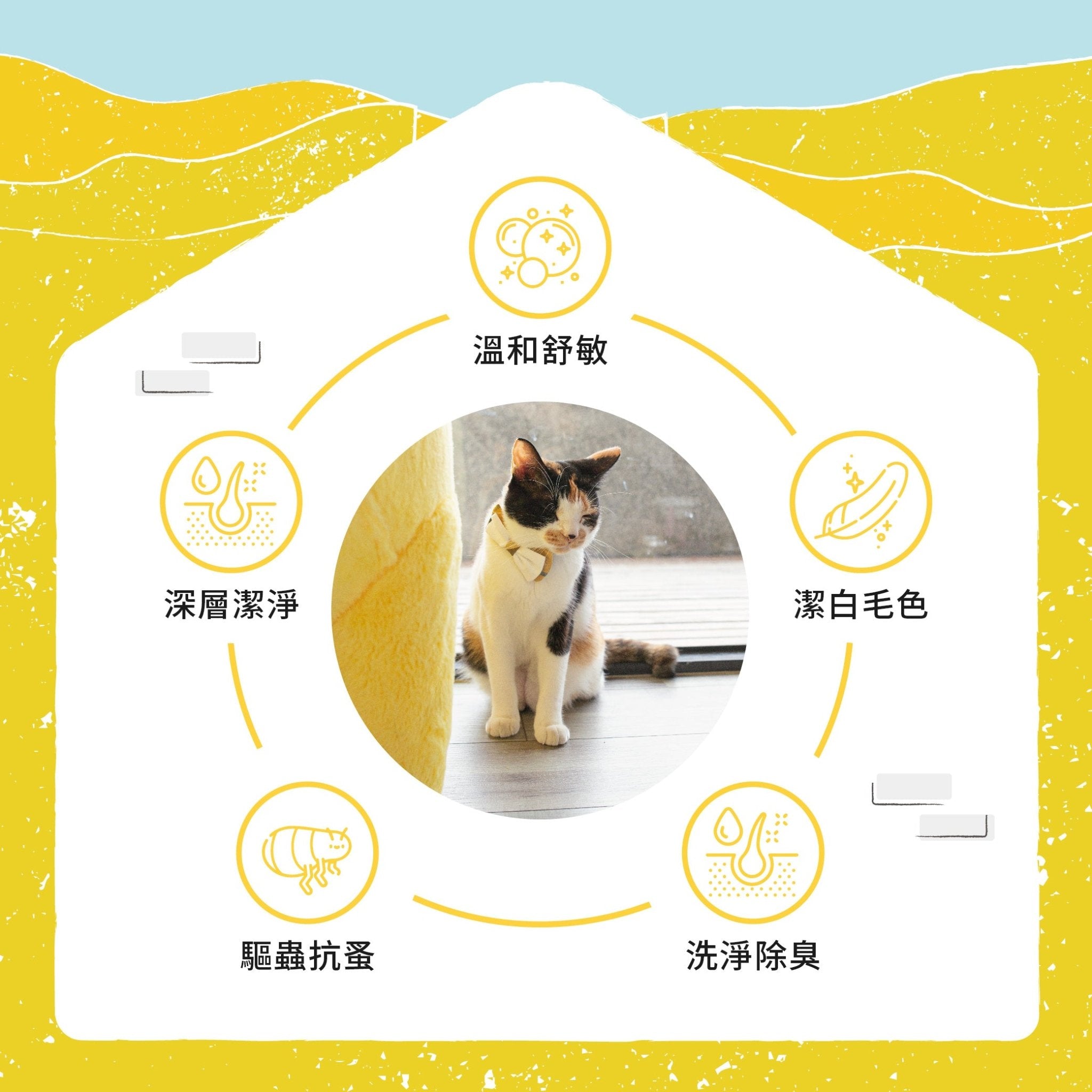 貓咪清新抗敏洗毛精500ml - 毛孩站起來