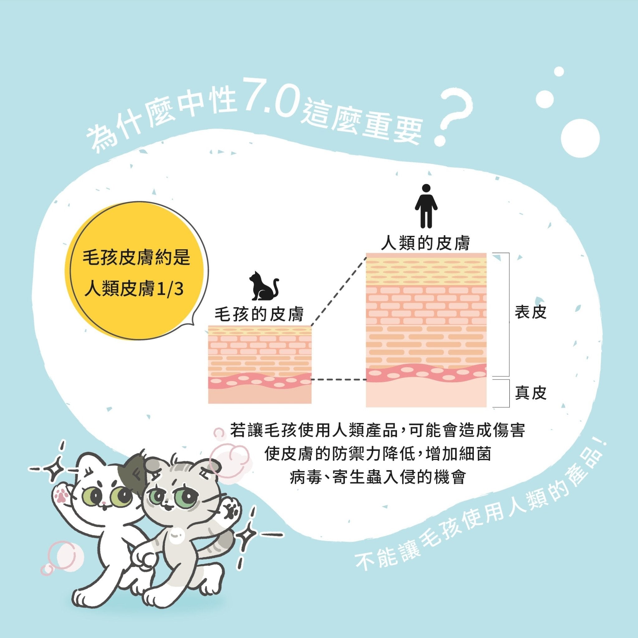貓咪清新抗敏洗毛精500ml - 毛孩站起來