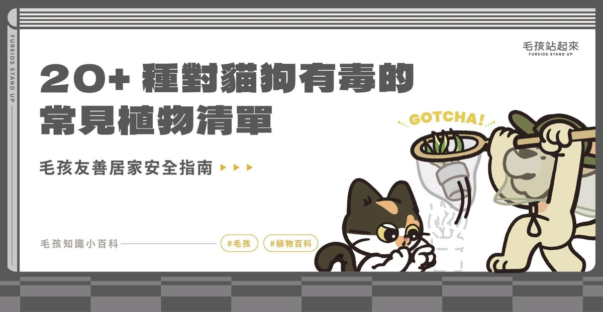 【家有毒物？】20+種對貓狗有毒的常見植物清單｜毛孩友善居家安全指南 - 毛孩站起來