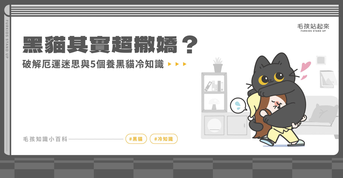 黑貓其實超撒嬌？破解厄運迷思與 5 個養黑貓冷知識 - 毛孩站起來