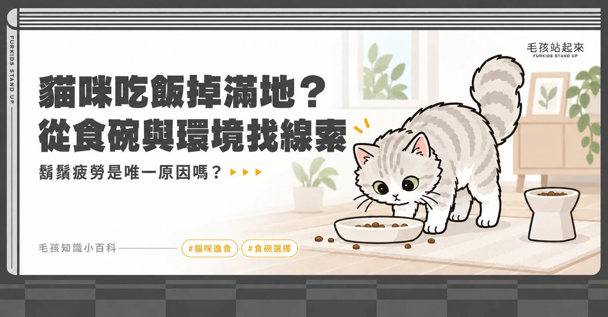 貓咪吃飯掉滿地？鬍鬚疲勞與食碗選擇，先觀察 3 個線索 - 毛孩站起來