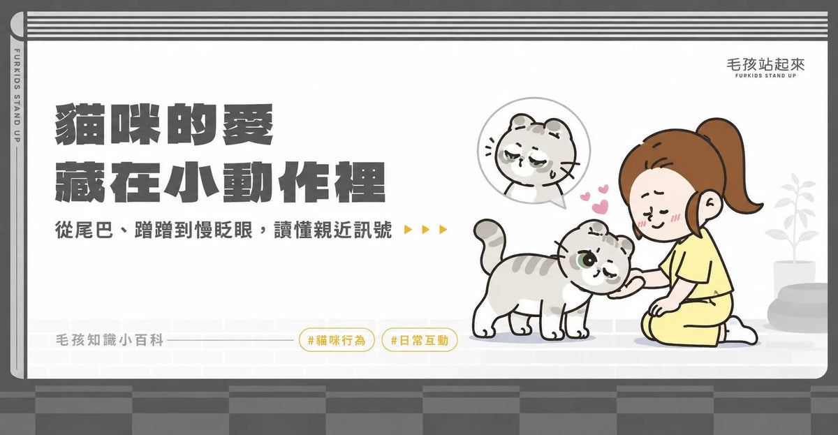 貓咪愛的表現有哪些？揭密 4 個主子專屬的「告白密語」與肢體語言 - 毛孩站起來
