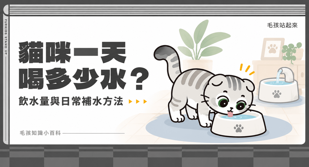 貓咪一天喝多少水？每日總水分估算與 5 個日常補水方法 - 毛孩站起來
