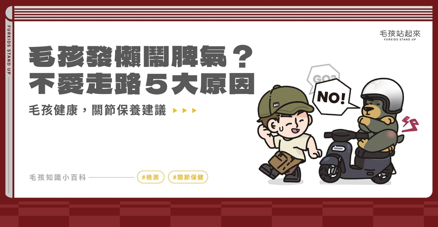 大年初一走春必讀：判斷毛孩關節健康，不愛走路的 5 大原因與保健建議 | 毛孩站起來 - 毛孩站起來