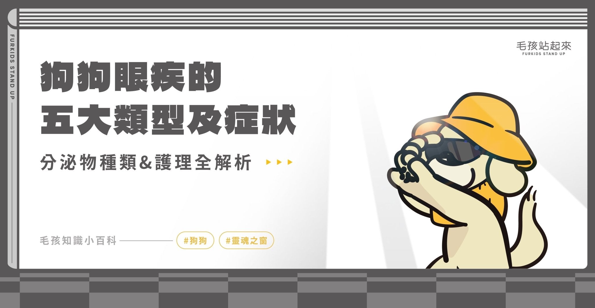 狗狗眼屎怎麼辦？5種常見眼睛分泌物解析，教你用寵物濕紙巾護理 - 毛孩站起來