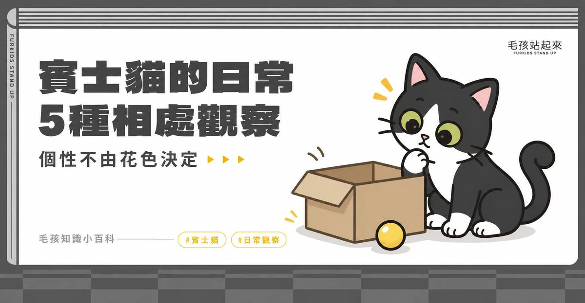 賓士貓5大個性分析 - 毛孩站起來