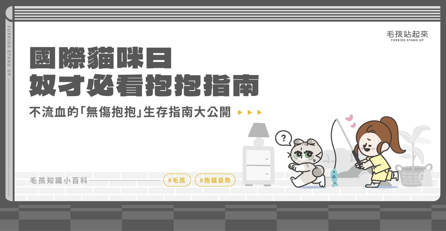 8/8國際貓咪日特輯：奴才必看！正確抱貓姿勢與「無傷抱抱」生存指南 - 毛孩站起來