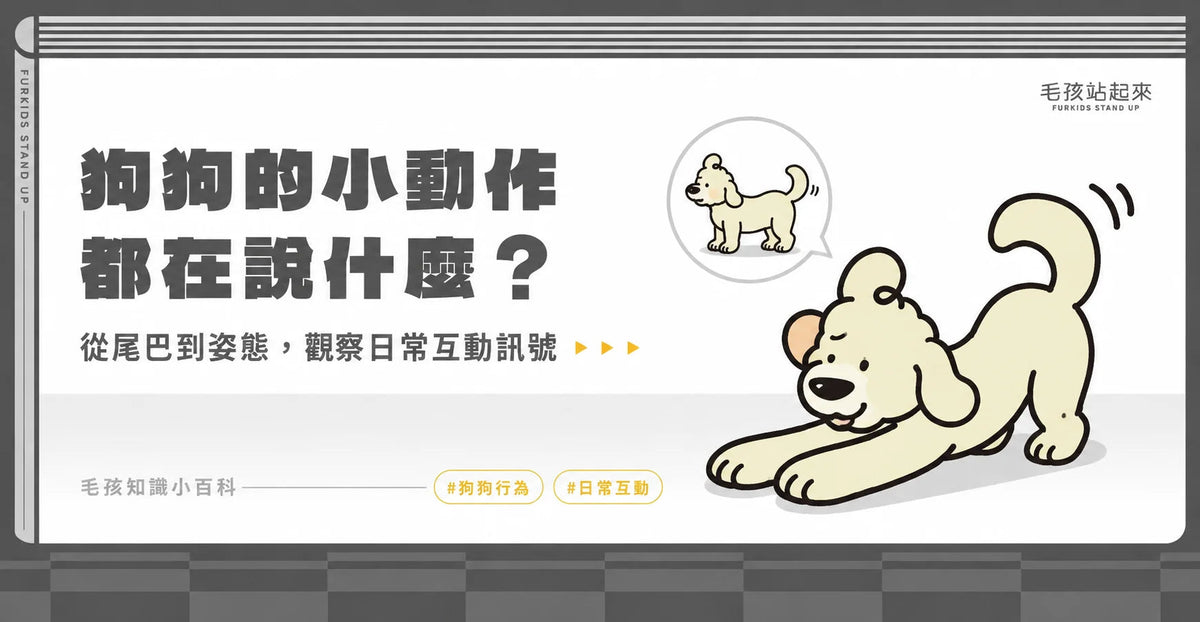 狗狗用身體說愛你？揭密 9 大肢體語言：讀懂刨地、轉圈與熱情告白背後的真心話 - 毛孩站起來