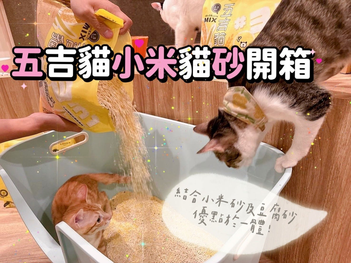 【crazy petter瘋寵玩家】五吉貓小米科學貓砂開箱，結合小米砂及豆腐砂優點的選擇！ - 毛孩站起來