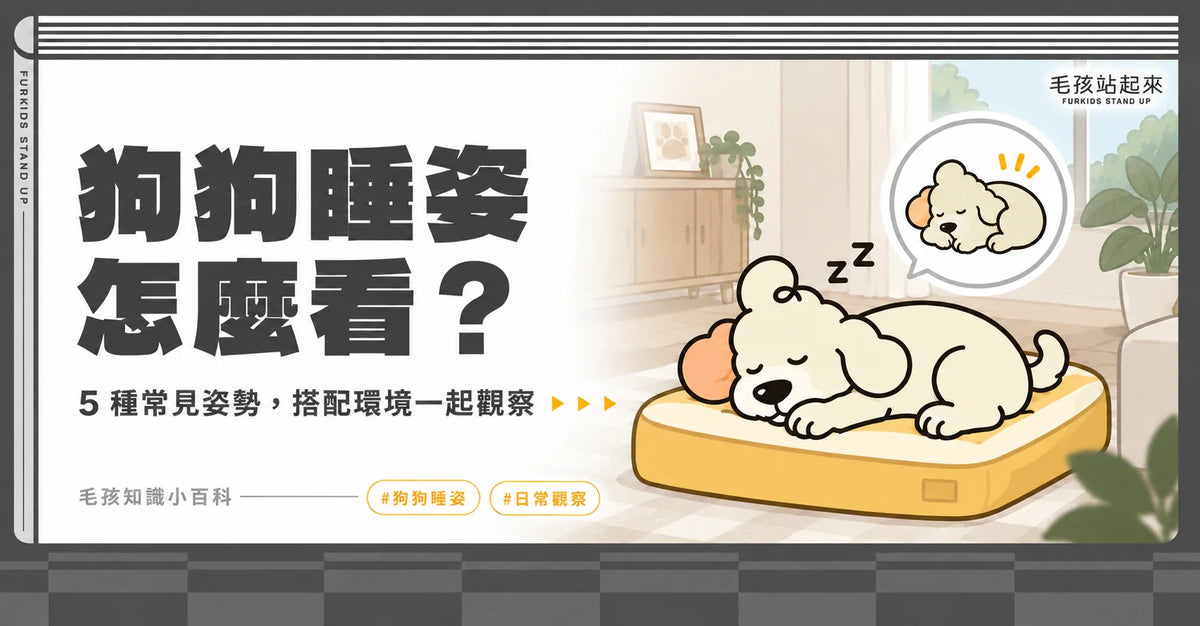封面插畫：奶油色小狗在黃色睡墊上休息，左側標題「狗狗睡姿怎麼看？」