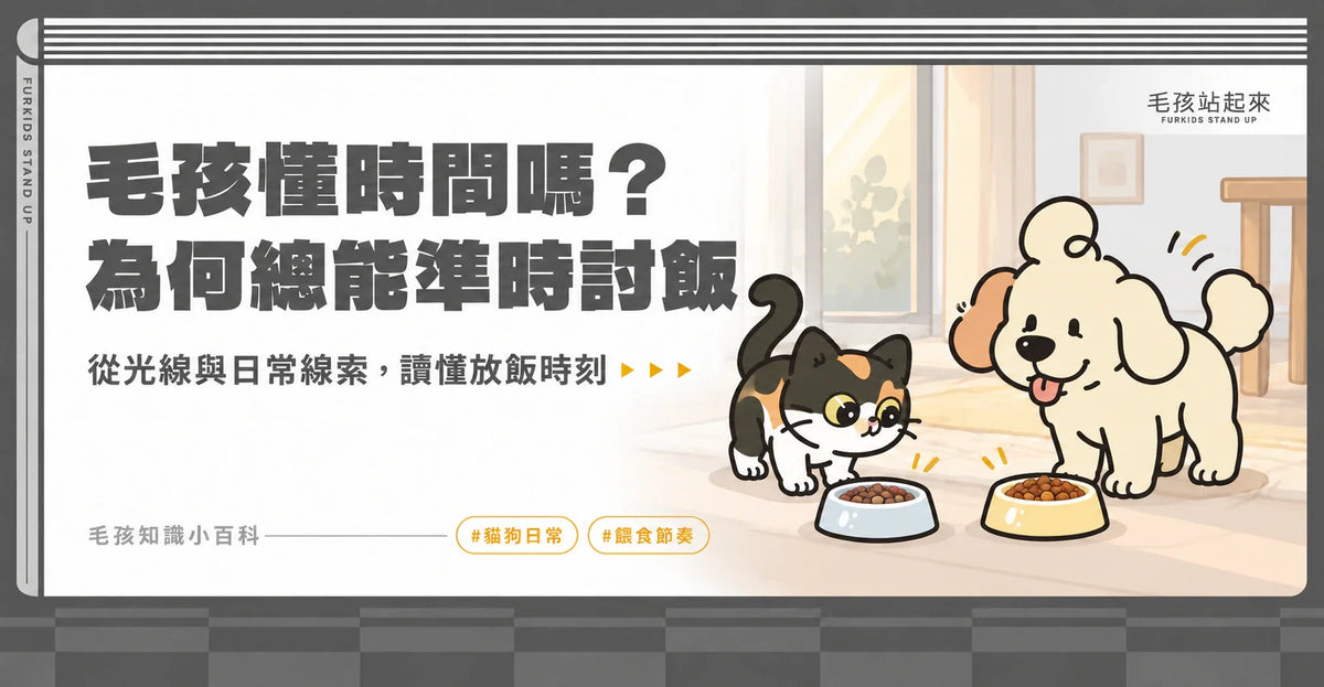 三花貓和奶油色狗狗分別等在自己的食碗旁，介紹毛孩可能留意的日常放飯線索