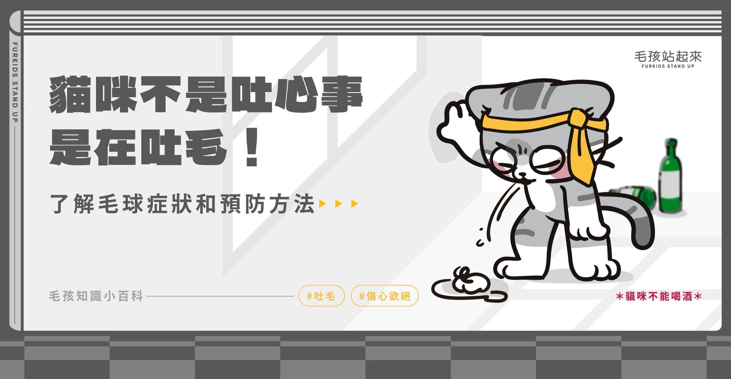 貓咪不是吐心事 是在吐毛！ - 毛孩站起來