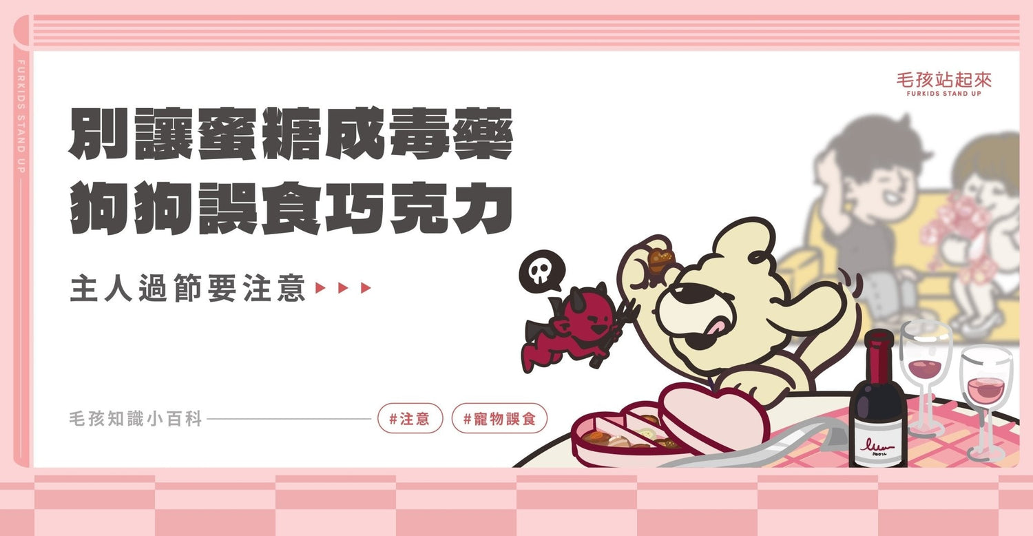 別讓蜜糖成毒藥：狗狗與巧克力危險預防指南 - 毛孩站起來