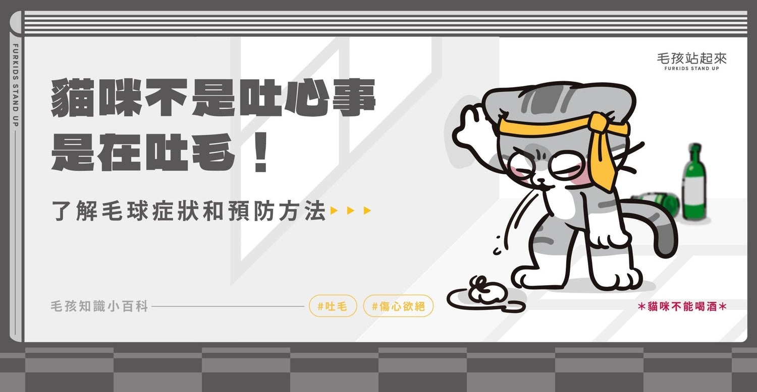 貓咪不是吐心事 是在吐毛！ - 毛孩站起來