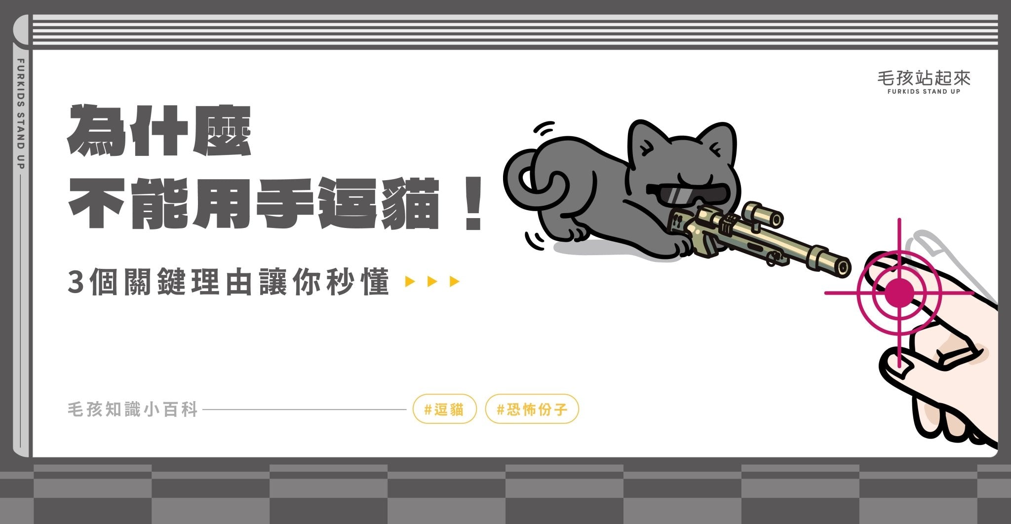 為什麼不能用手逗貓？ - 毛孩站起來