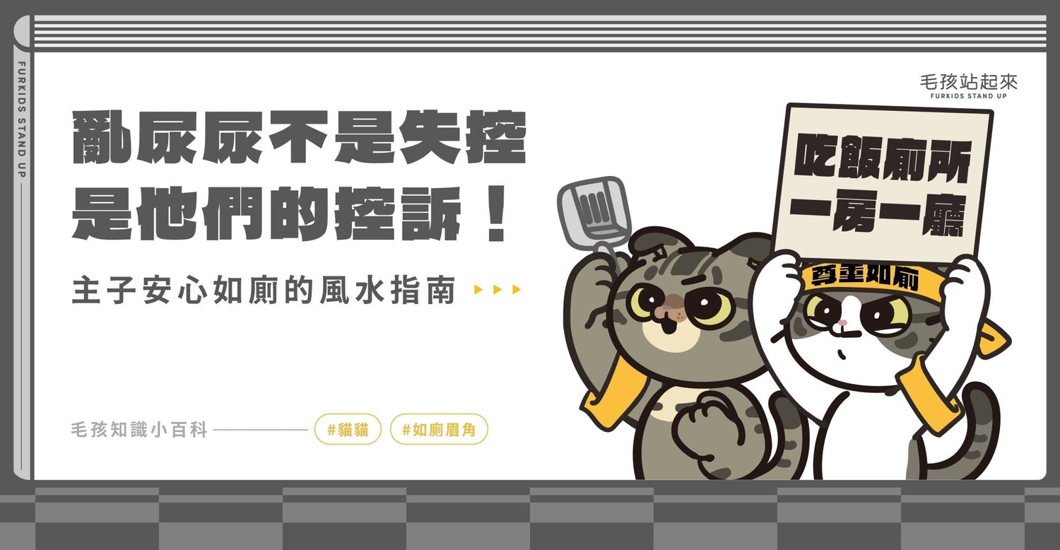 貓砂盆擺放位置全攻略｜破解貓咪亂尿＋提升居家風水運勢 - 毛孩站起來