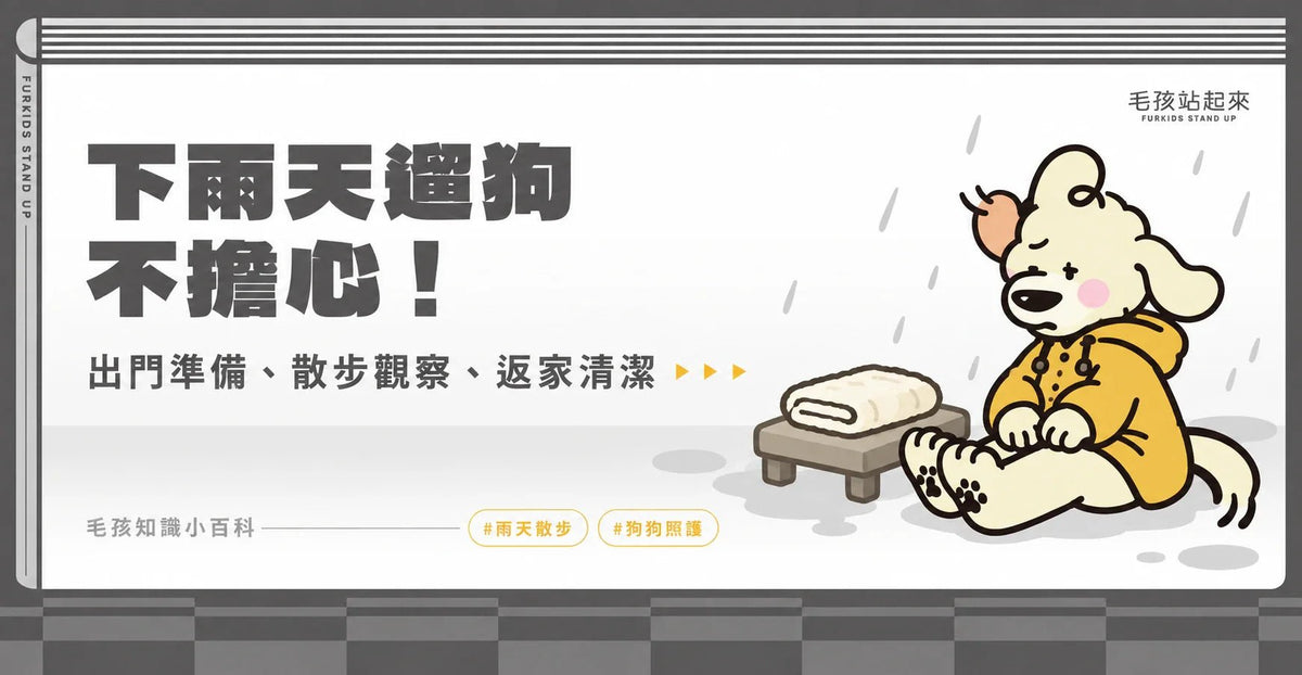 下雨天遛狗不擔心！ - 毛孩站起來