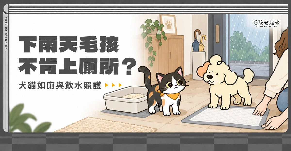 下雨天毛孩憋尿怎麼辦？犬貓雨天如廁、飲水與排尿警訊 - 毛孩站起來