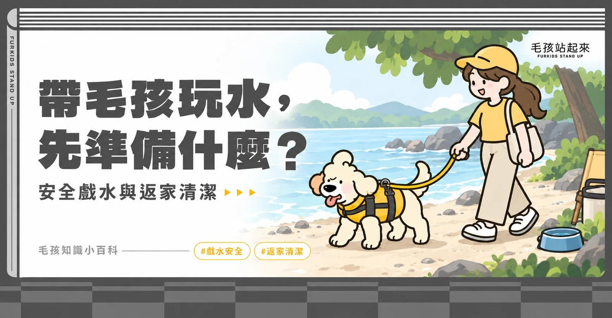 帶毛孩去玩水要注意什麼？夏季戲水安全與事後清潔防護指南 - 毛孩站起來