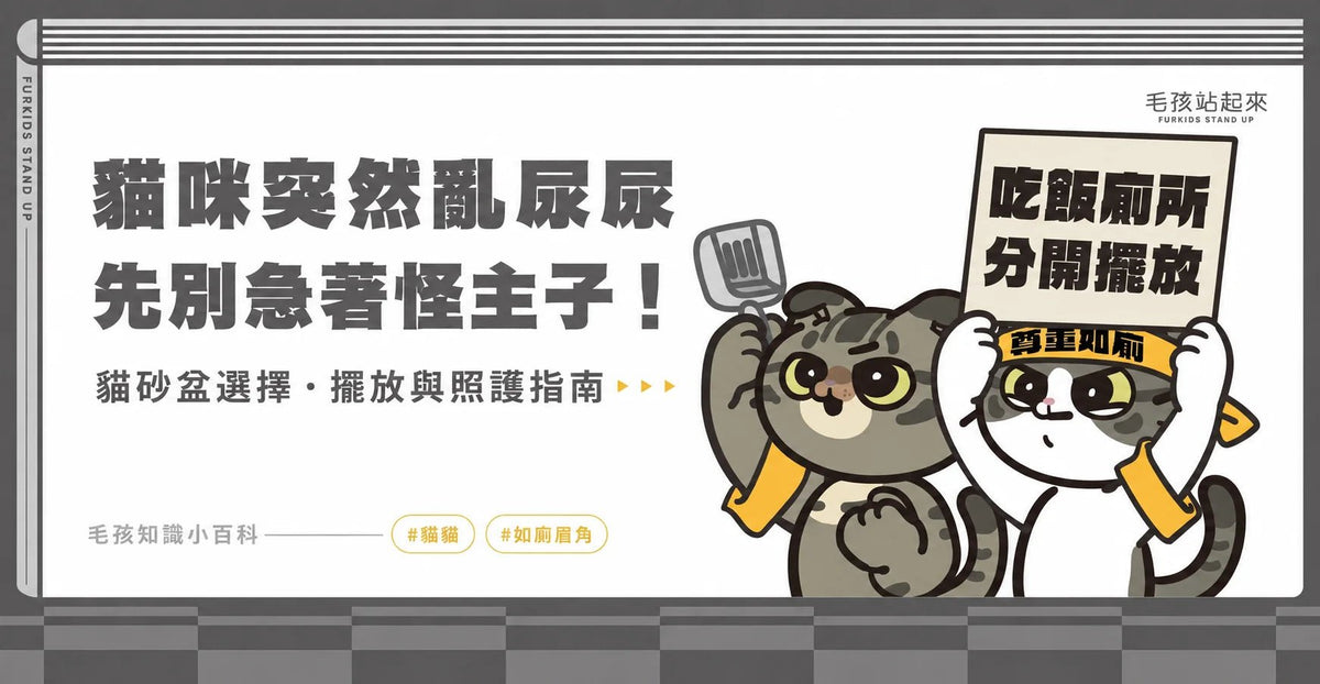 貓砂盆擺放位置指南｜尺寸、清潔與亂尿警訊 - 毛孩站起來