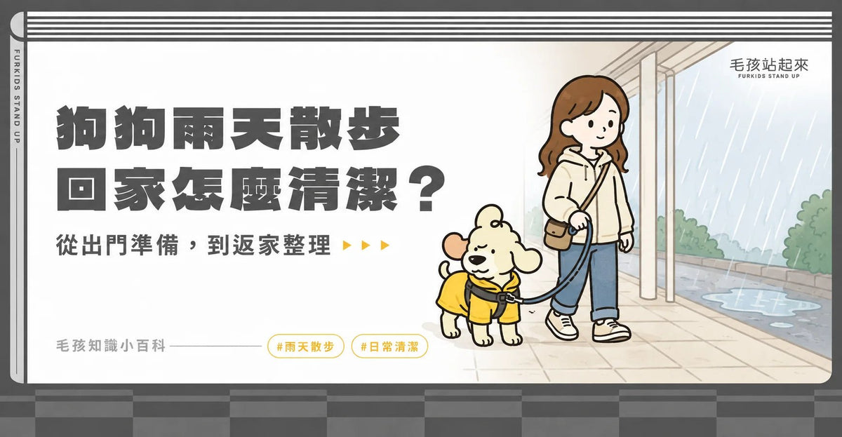 梅雨季來了！狗狗下雨天散步指南與回家後的清潔除臭妙招 - 毛孩站起來