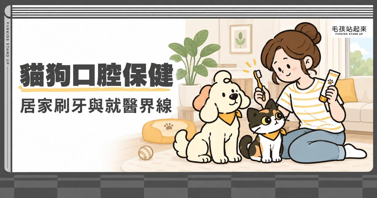 貓狗口腔保健與刷牙指南：牙膏怎麼選、如何循序練習與何時看獸醫 - 毛孩站起來