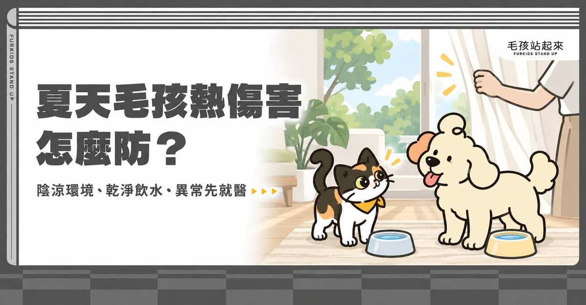避免毛孩熱傷害怎麼做？夏季寵物飲食補水與降溫全攻略 - 毛孩站起來