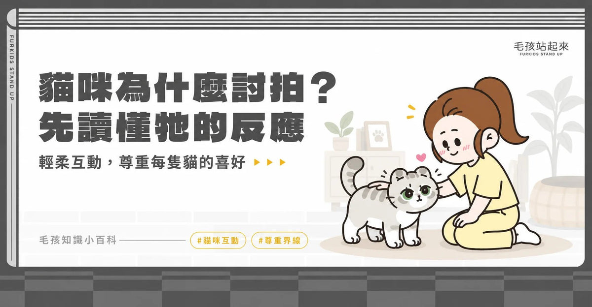 貓咪喜歡被拍屁股嗎？看懂翹臀、甩尾與停止互動的訊號 - 毛孩站起來