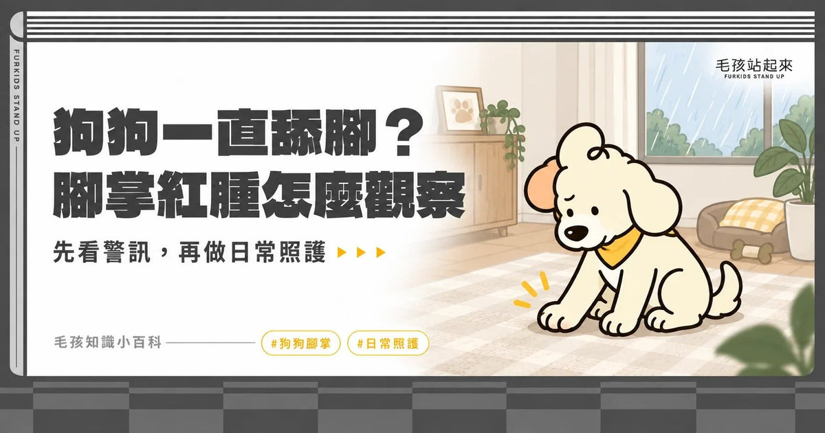 狗狗一直舔腳、抓癢？腳趾間紅腫的觀察重點與日常照護 - 毛孩站起來