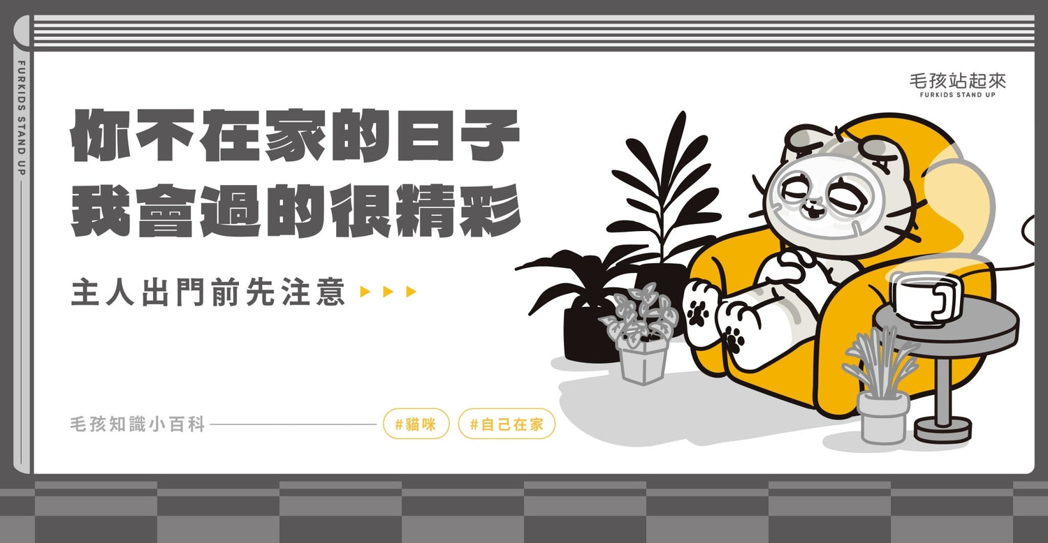 貓咪自己在家_過年/出國貓咪怎麼辦？ - 毛孩站起來