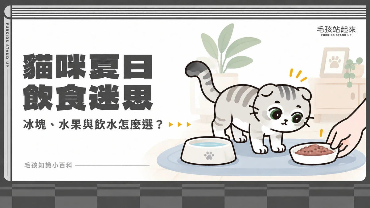 貓咪夏日飲食迷思：可以吃水果、吃冰塊嗎？禁忌食物一次看 - 毛孩站起來