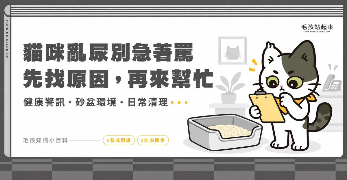 貓咪亂尿別急著罵：排尿警訊、砂盆調整與日常清理 - 毛孩站起來