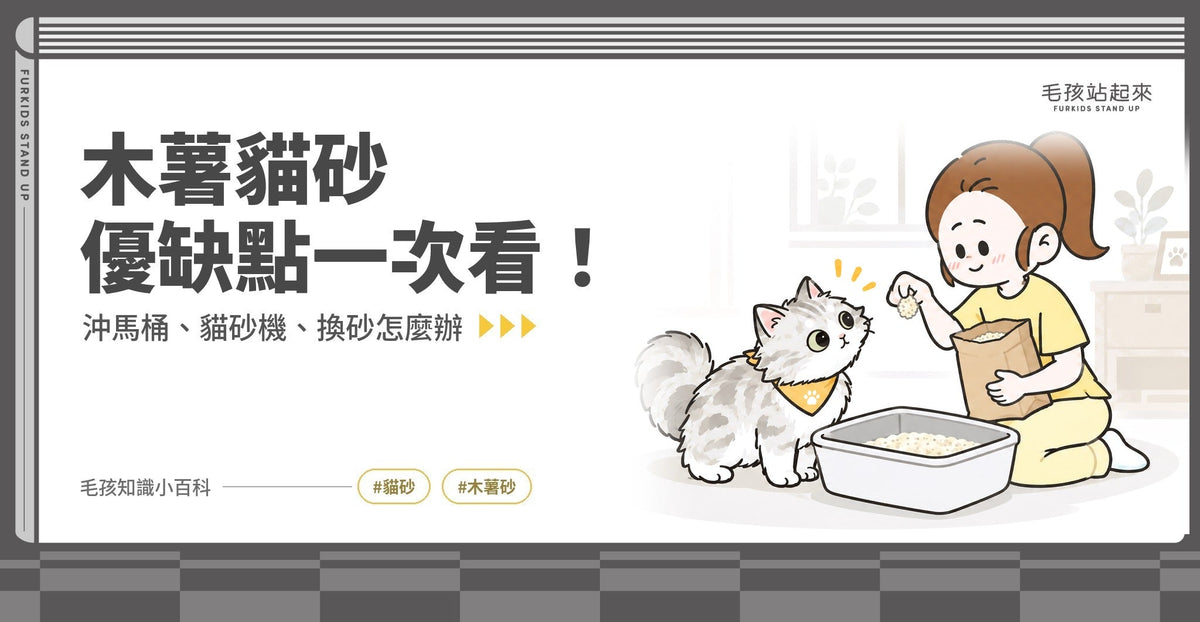 木薯砂缺點、優點與選法：可以沖馬桶嗎？純木薯砂與配比砂比較 - 毛孩站起來