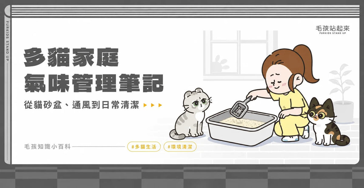 多貓家庭除臭指南：家裡總是有股「貓味」？氣味管理大解密 - 毛孩站起來
