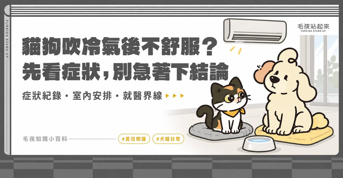 貓狗吹冷氣後打噴嚏、沒食慾？症狀觀察與夏日室內照護 - 毛孩站起來