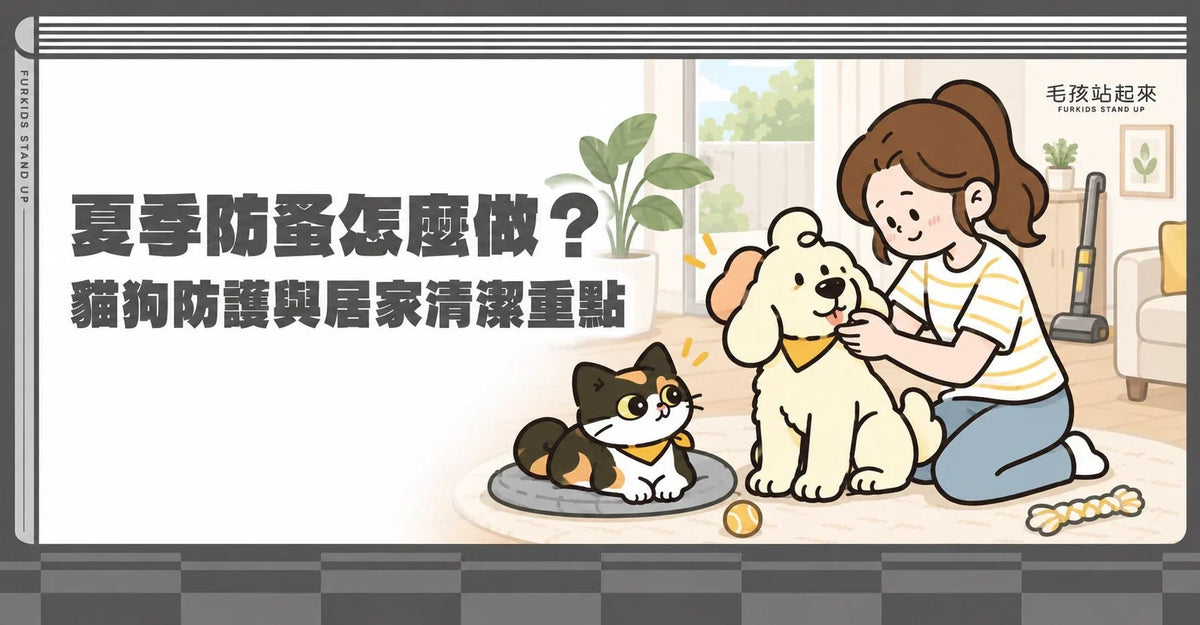 夏季防蚤怎麼做？貓狗防護與居家清潔重點 - 毛孩站起來