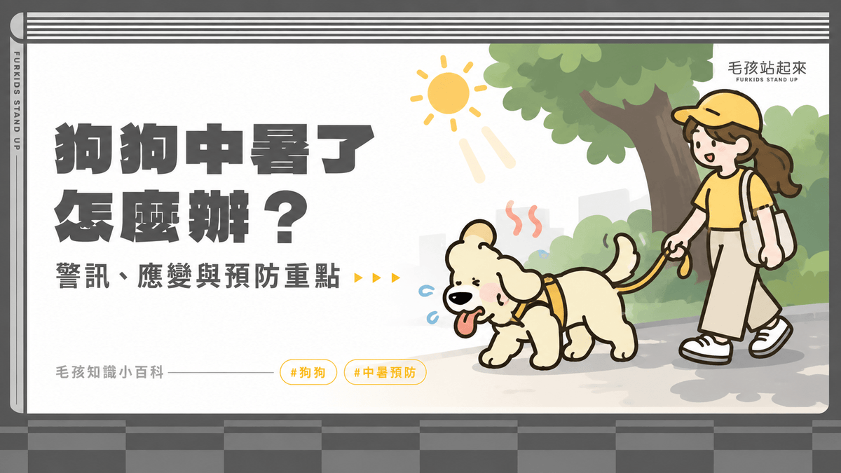 狗狗中暑了怎麼辦？緊急處理方法和預防小技巧！ - 毛孩站起來