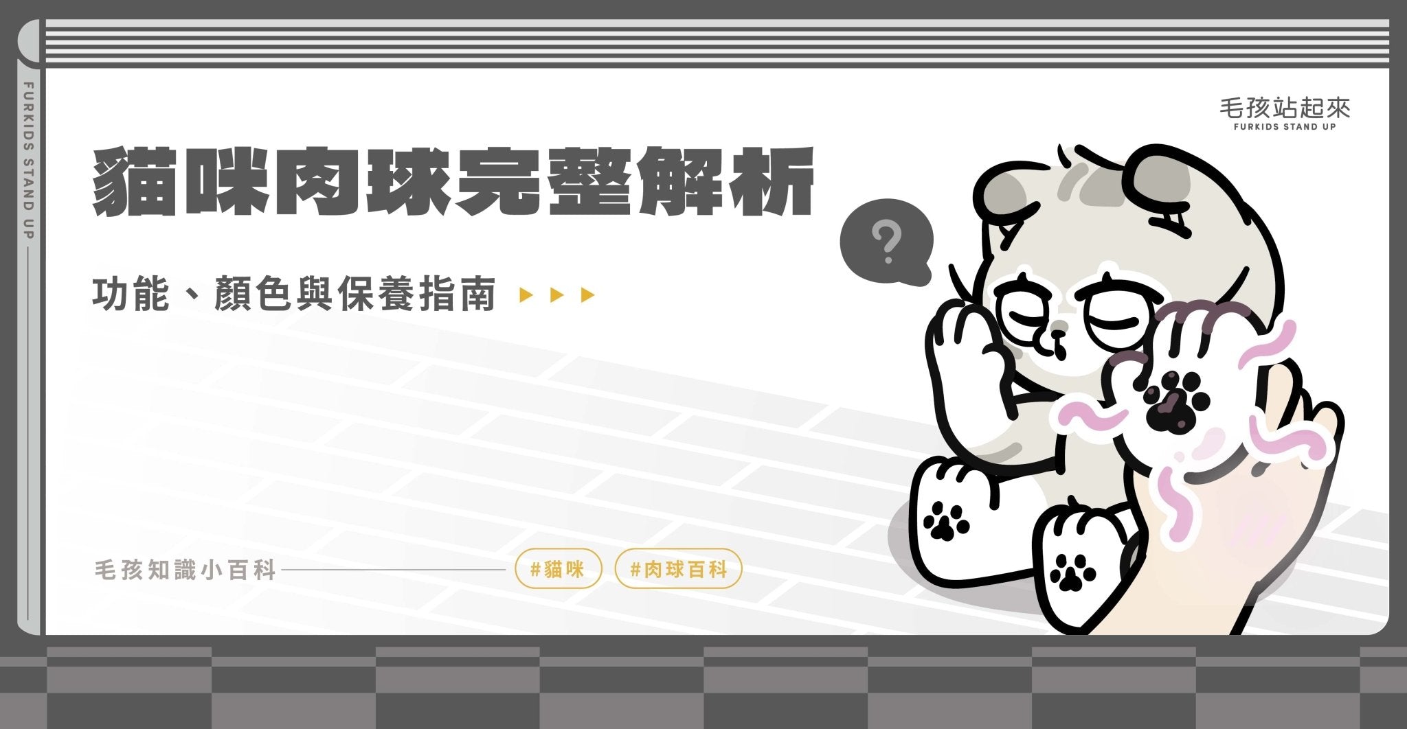 貓咪肉球完整解析｜功能、顏色與保養指南 - 毛孩站起來