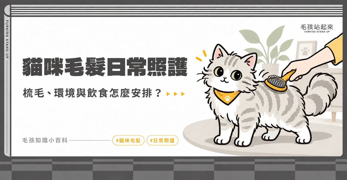 貓咪毛髮日常照護：梳毛、洗澡、環境與飲食怎麼安排？ - 毛孩站起來