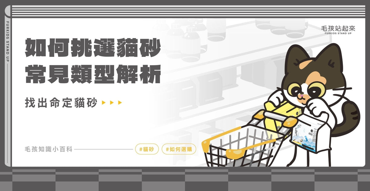 貓砂怎麼選？各類砂款解析 找出命定貓砂 - 毛孩站起來