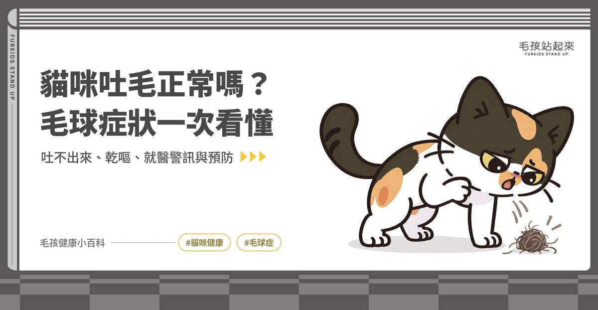 貓咪吐毛正常嗎？毛球症狀、吐不出來怎麼辦與何時該就醫 - 毛孩站起來