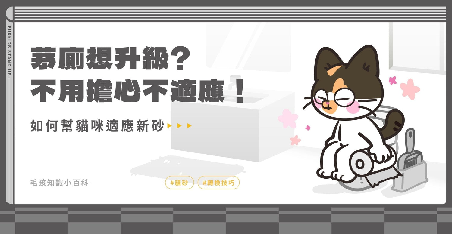 貓砂怎麼換？轉換不同砂款 新手全攻略 - 毛孩站起來