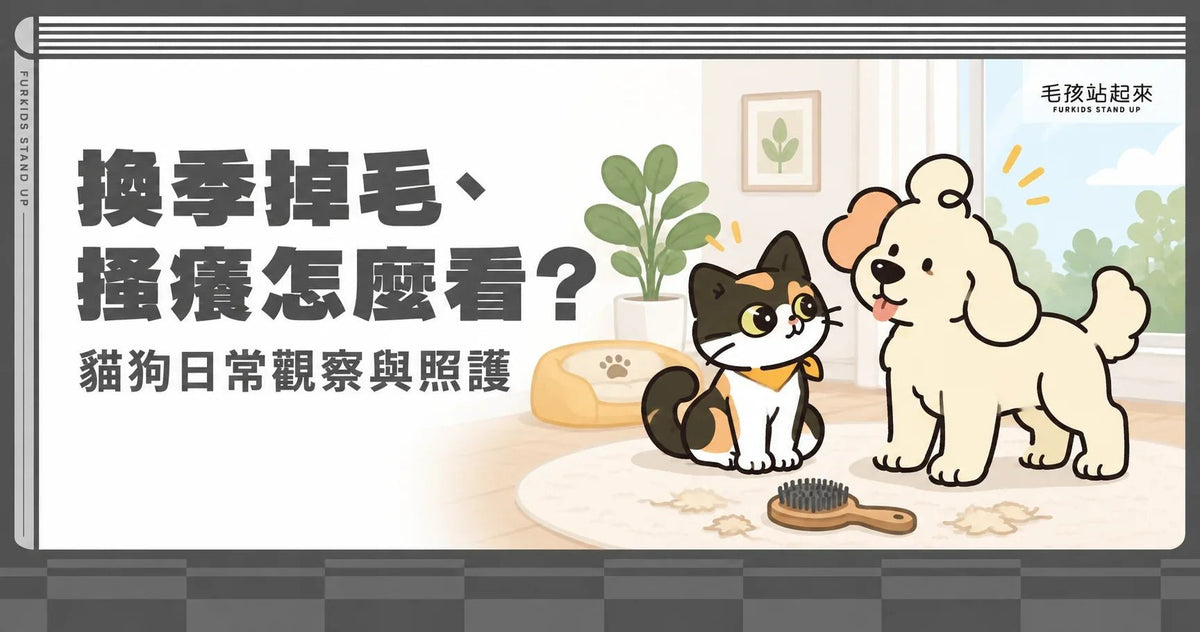 貓狗換季掉毛、過敏怎麼辦？搔癢觀察與營養照護 - 毛孩站起來