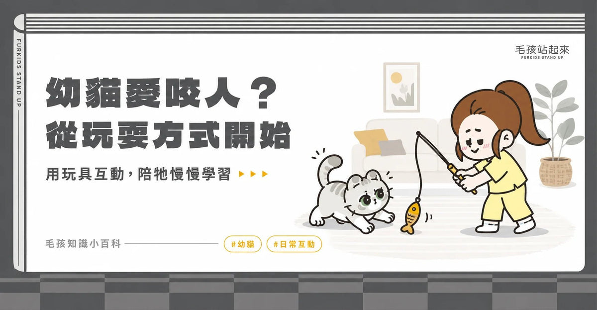 幼貓愛咬人怎麼辦？幾招教你對付咬咬貓！新手防咬指南 - 毛孩站起來