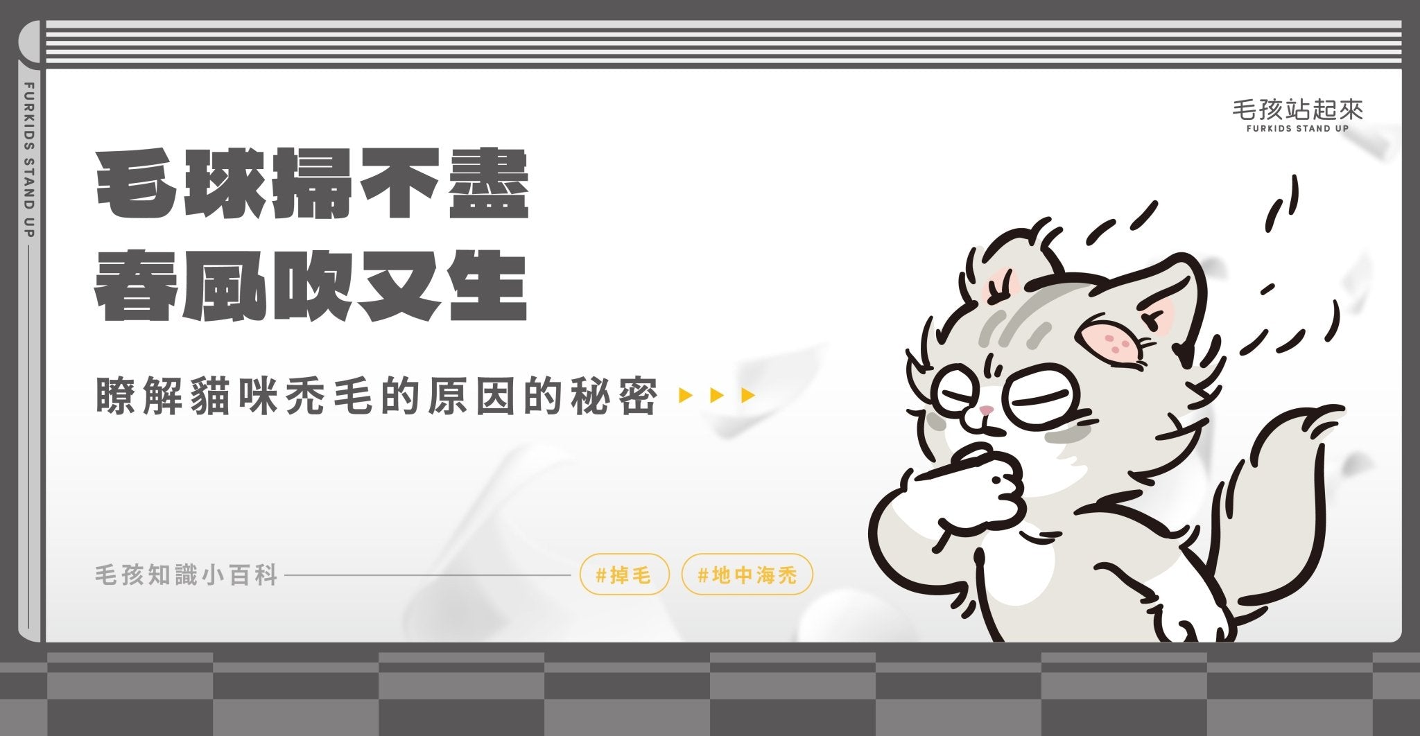 毛球掃不盡 春風吹又生-了解貓咪禿毛的原因 - 毛孩站起來