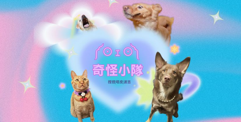 【毛孩站起來】毛孩凍乾 北極甜蝦丁 - 毛孩站起來