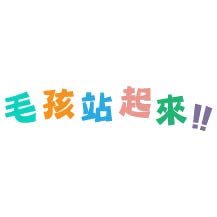 毛孩站起來 - 毛孩站起來