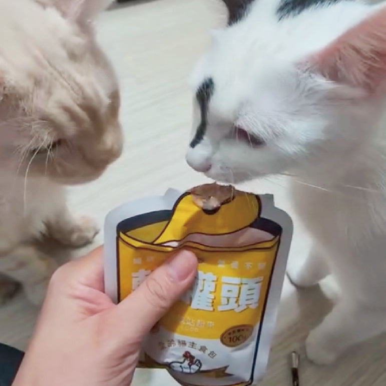 兩隻貓靠近手持的黃色軟罐頭餐包。