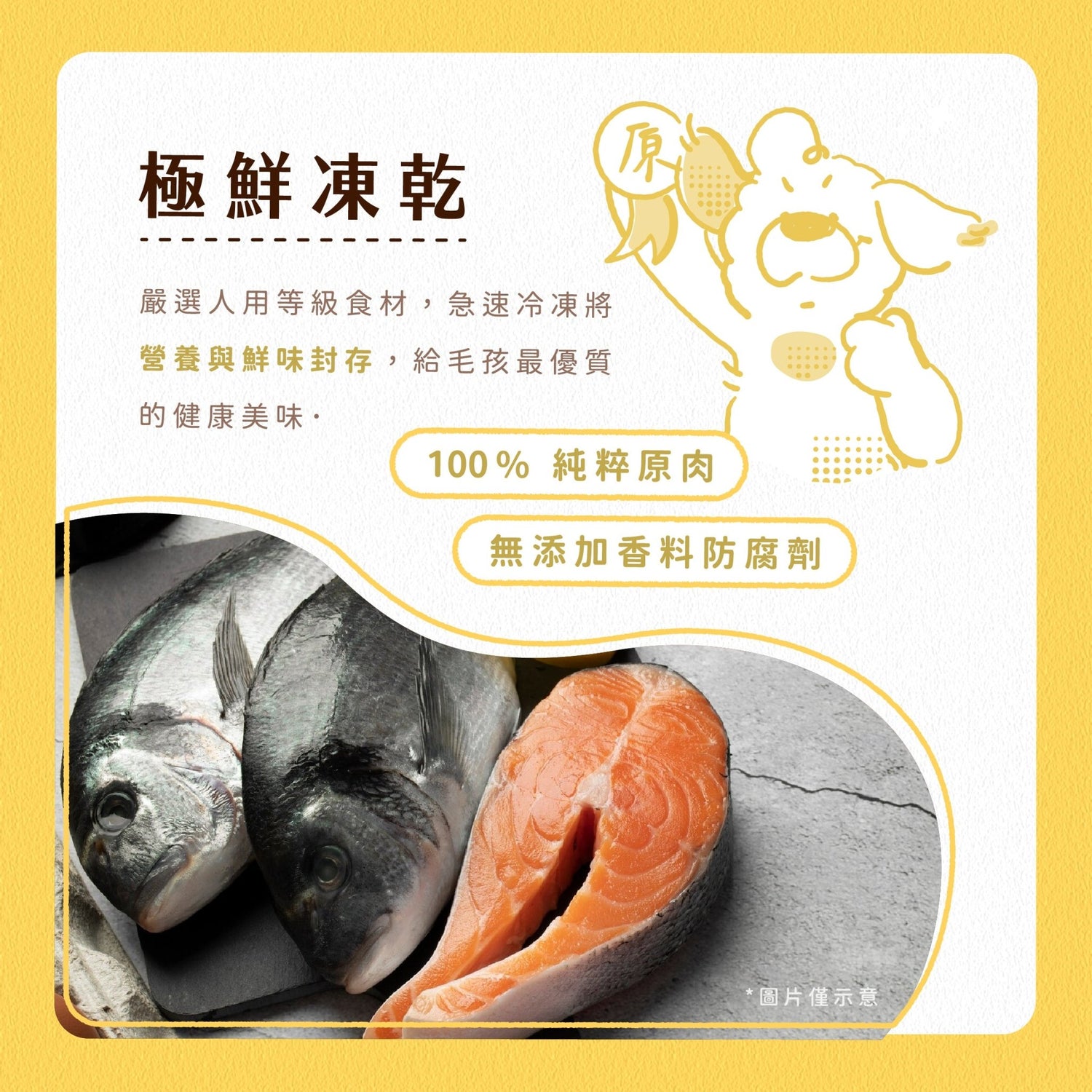 毛孩凍乾 極鮮鮭魚丁 50g - 毛孩站起來