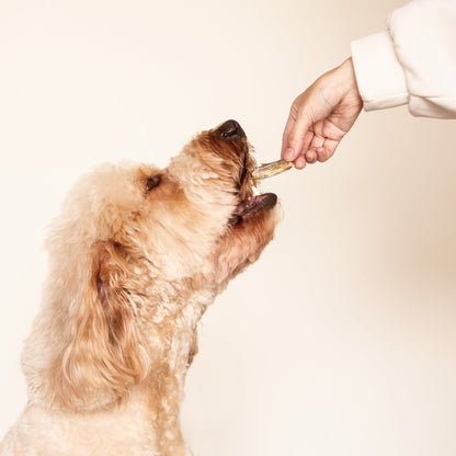 毛孩凍乾 極鮮虱目魚 50g - 毛孩站起來